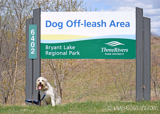 Bryant Lake Dog Off-Leash Area